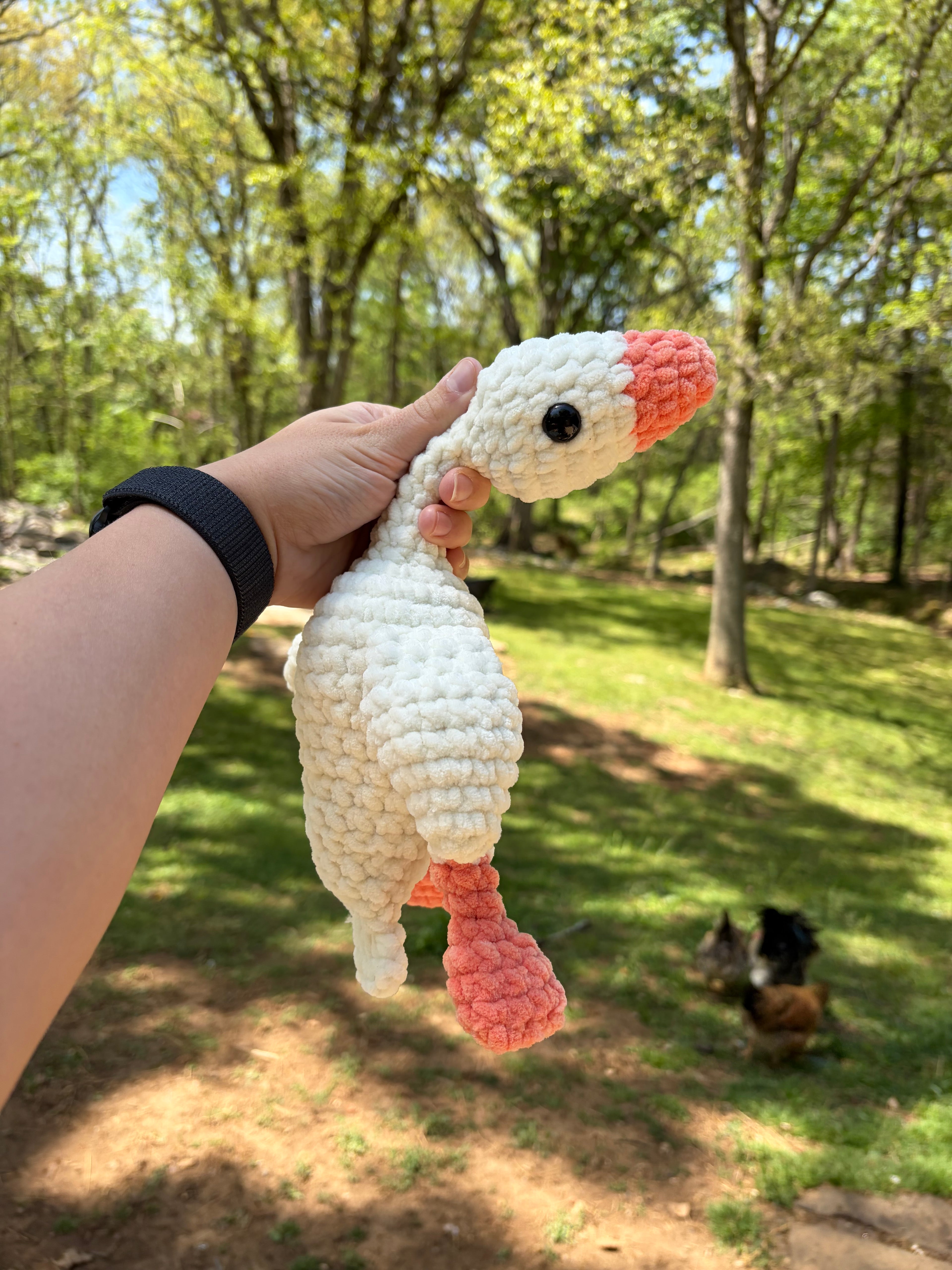 Goose