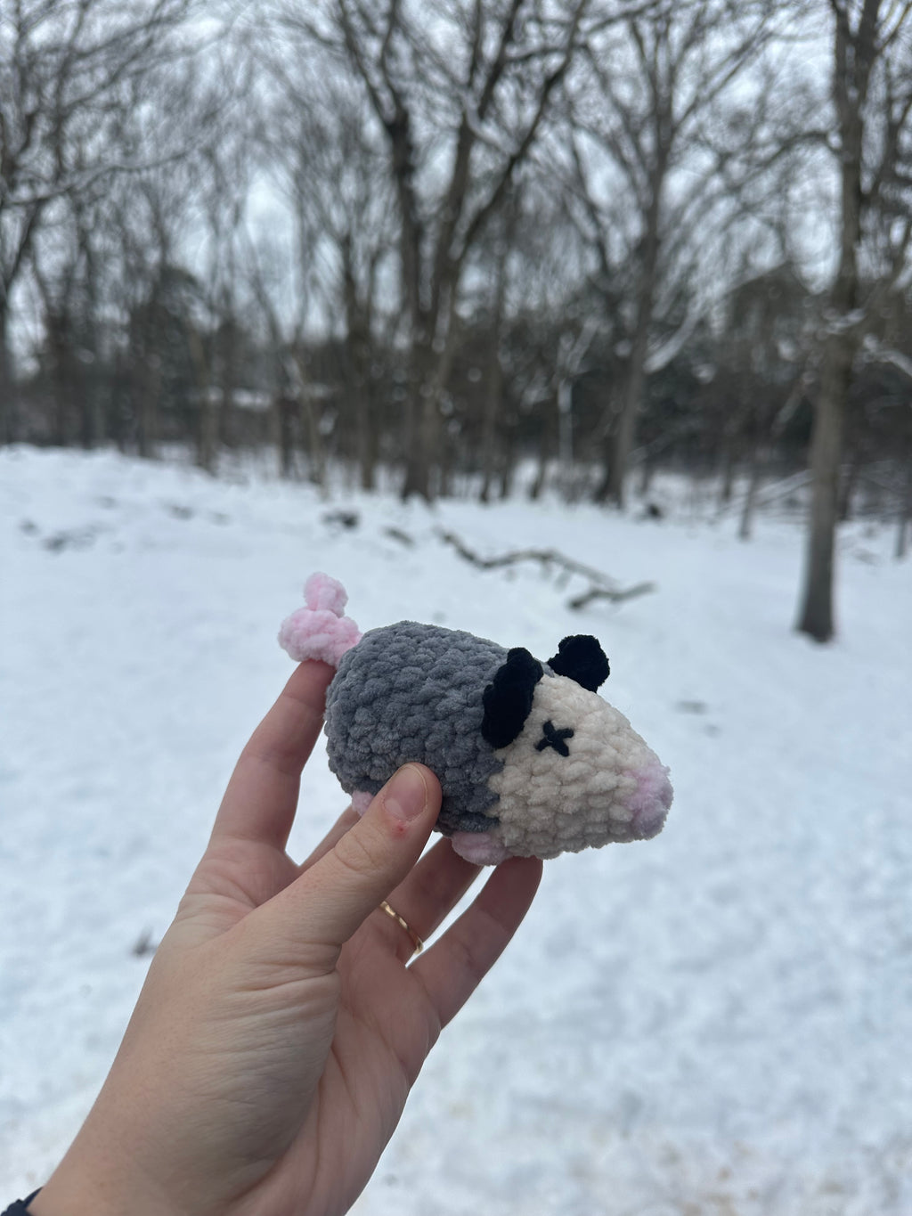Opossums
