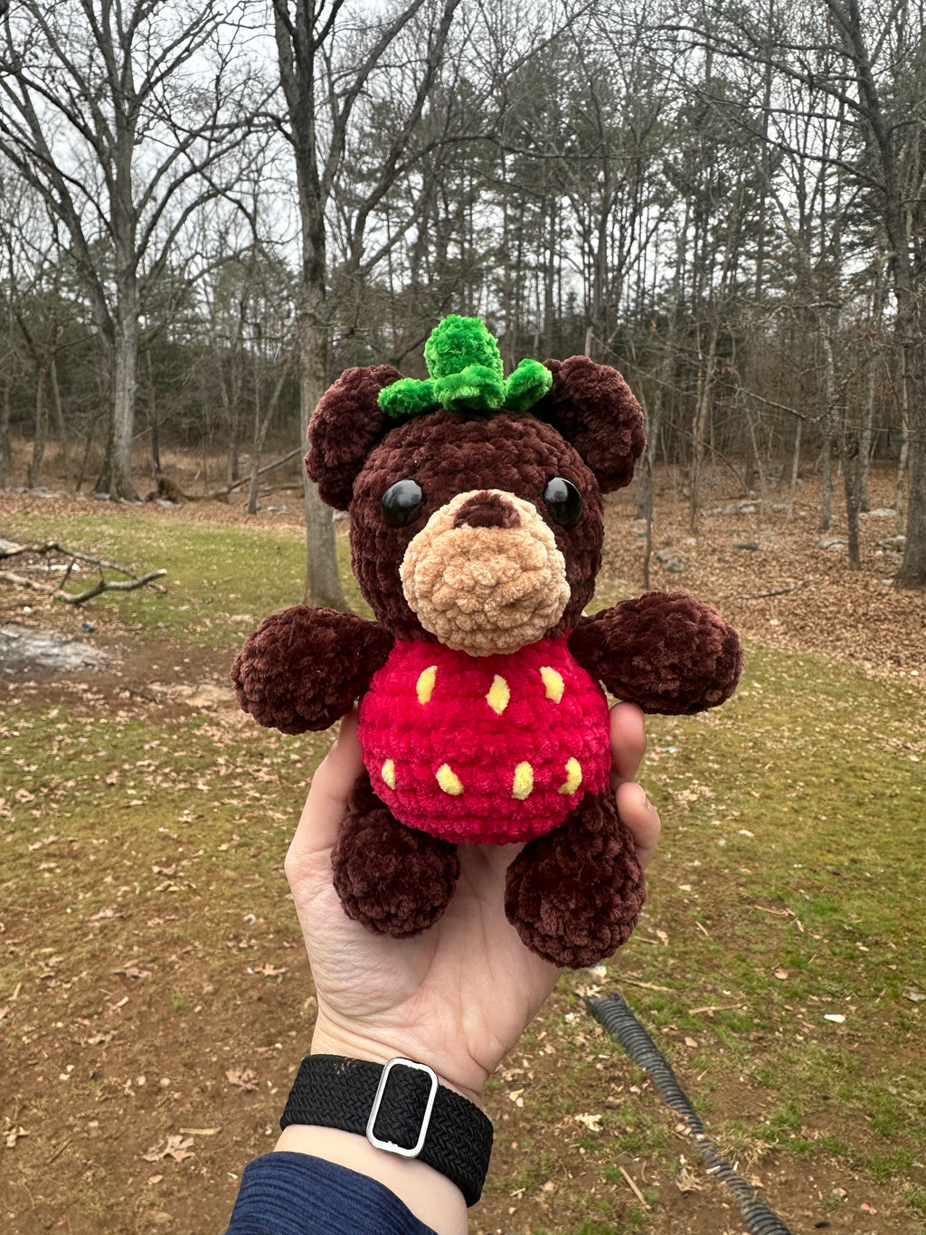 Red strawberry bear