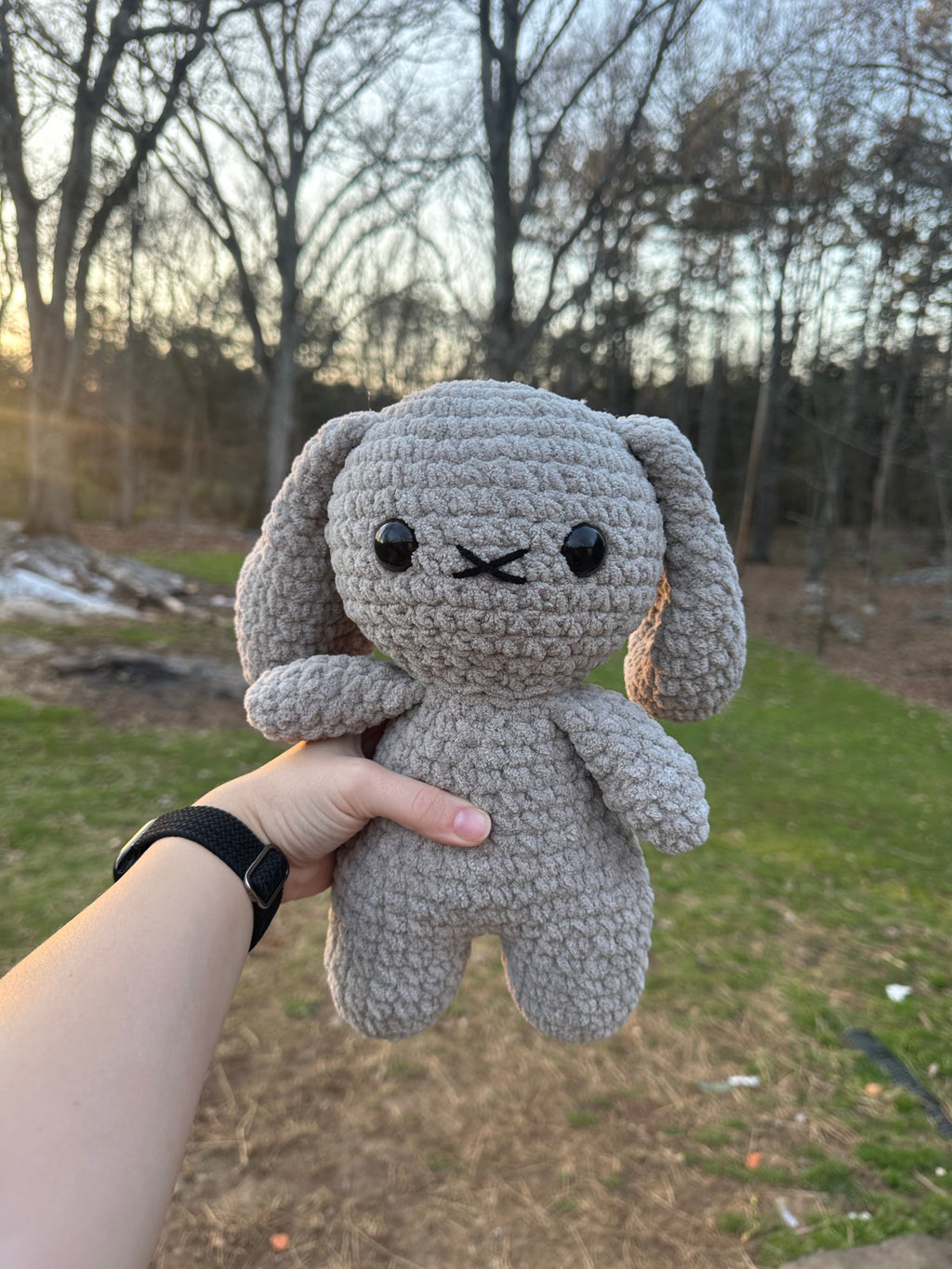 Big bunny