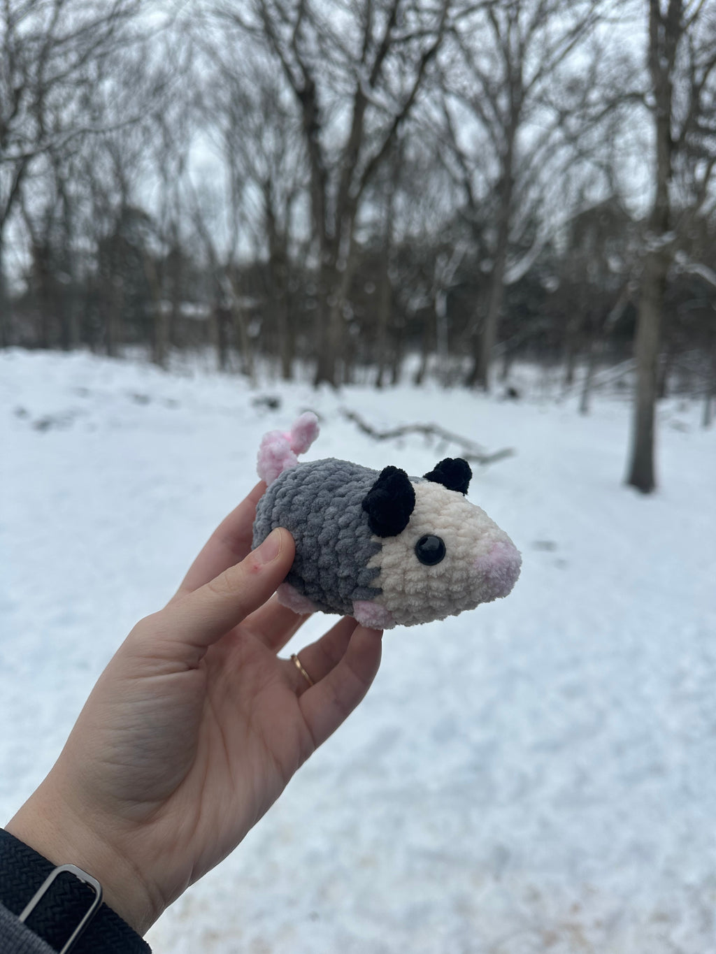 Opossums