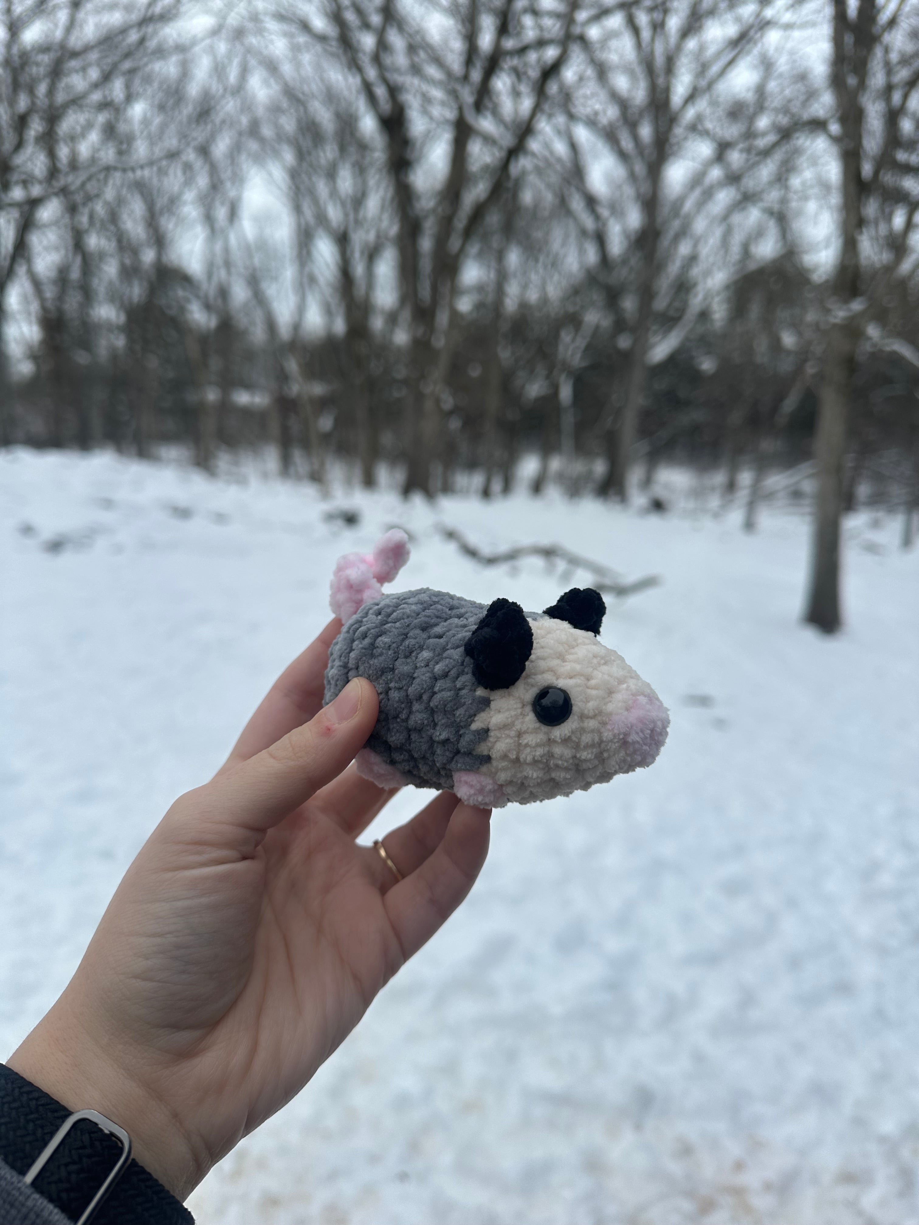 Opossums