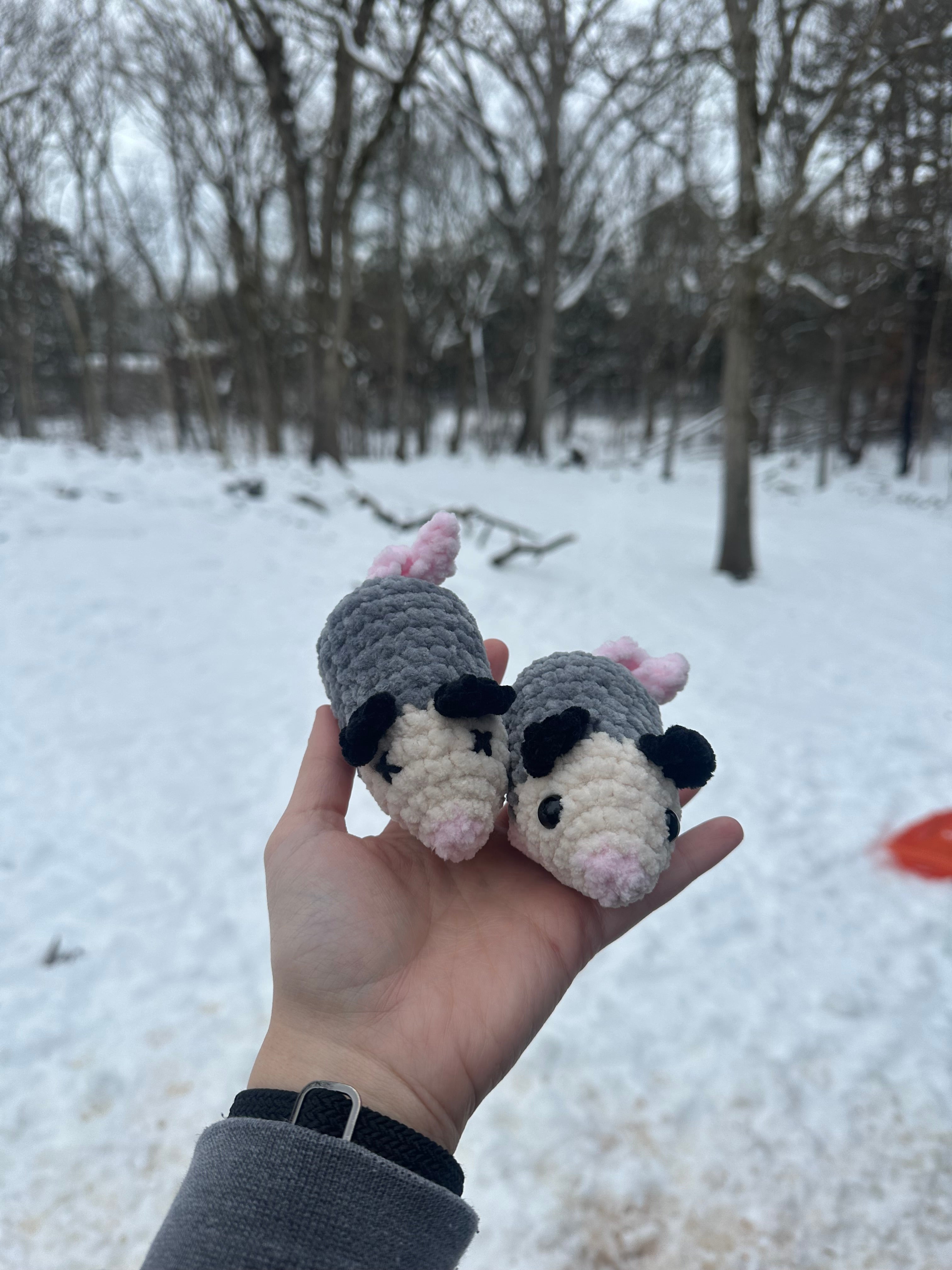 Opossums