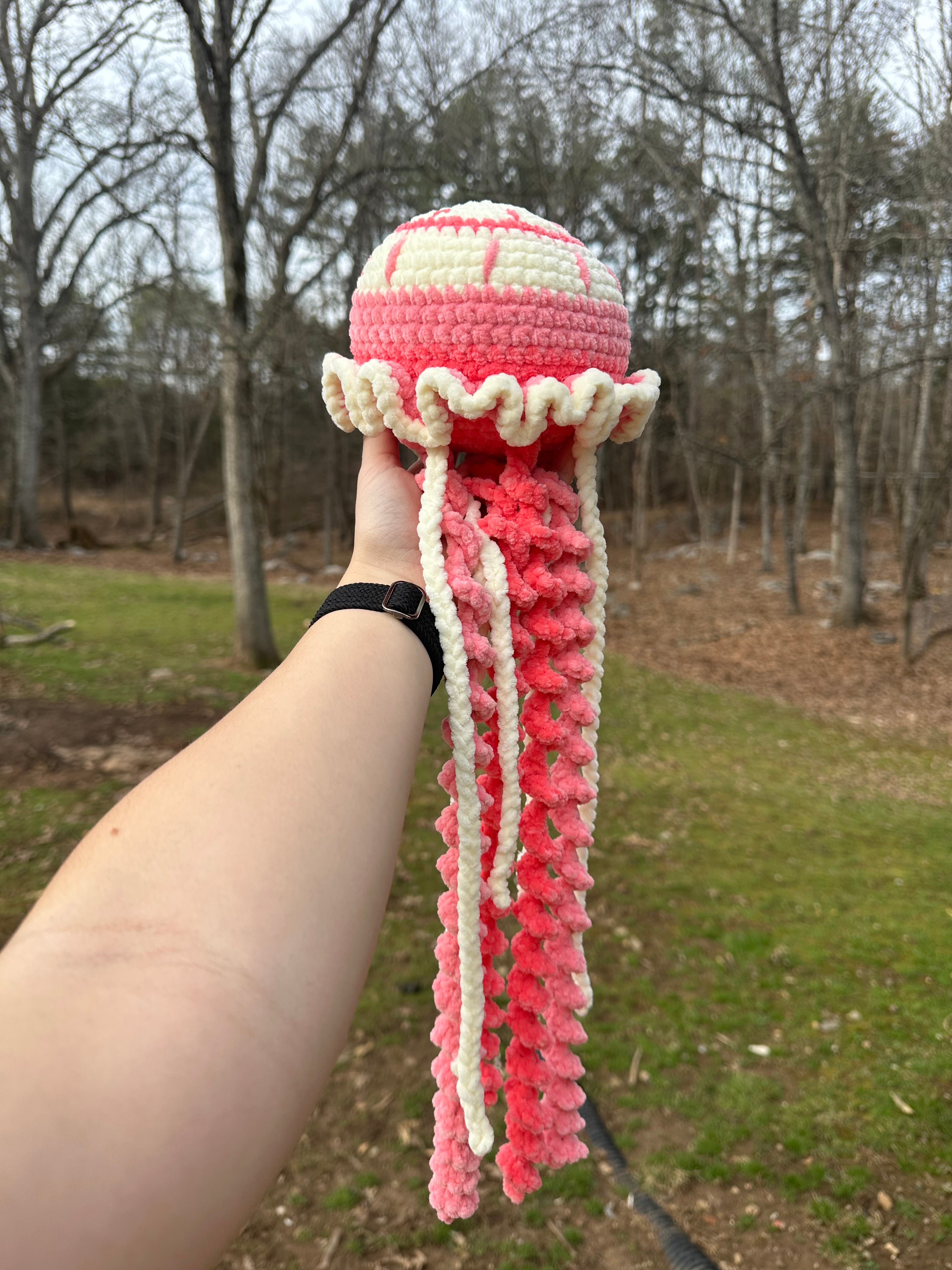 Pink & cream jellyfish