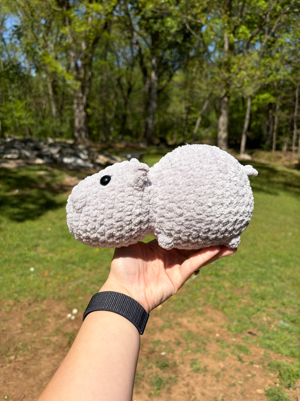 Hippo
