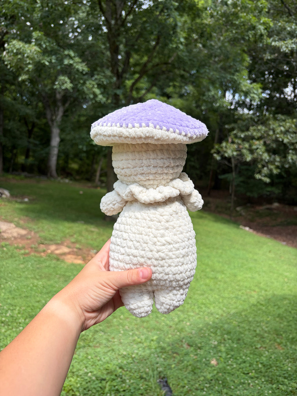 Mushroom buddy