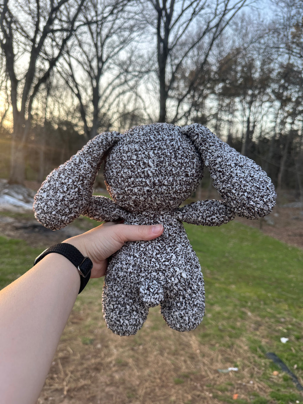 Big bunny