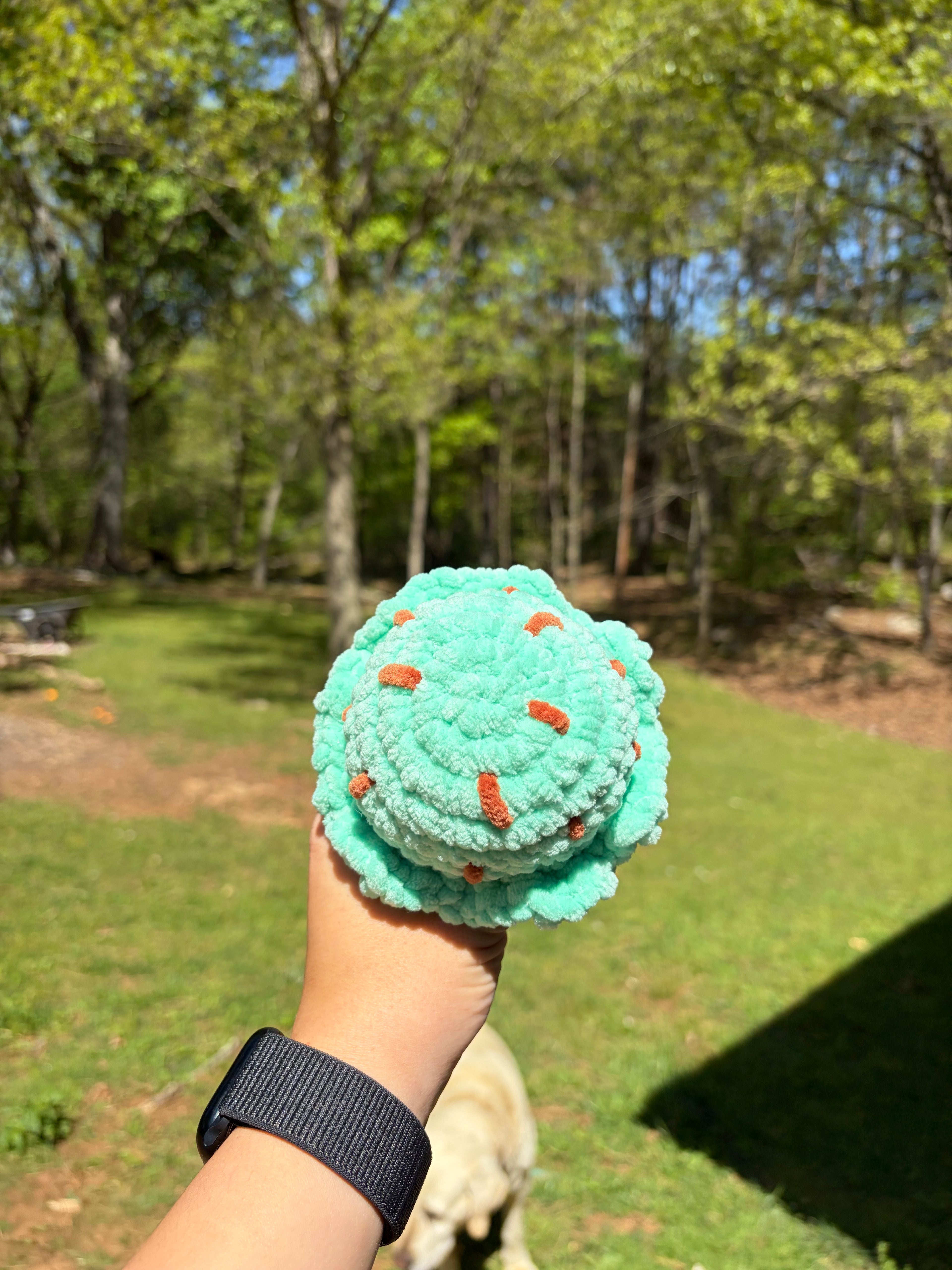 Ice cream cone