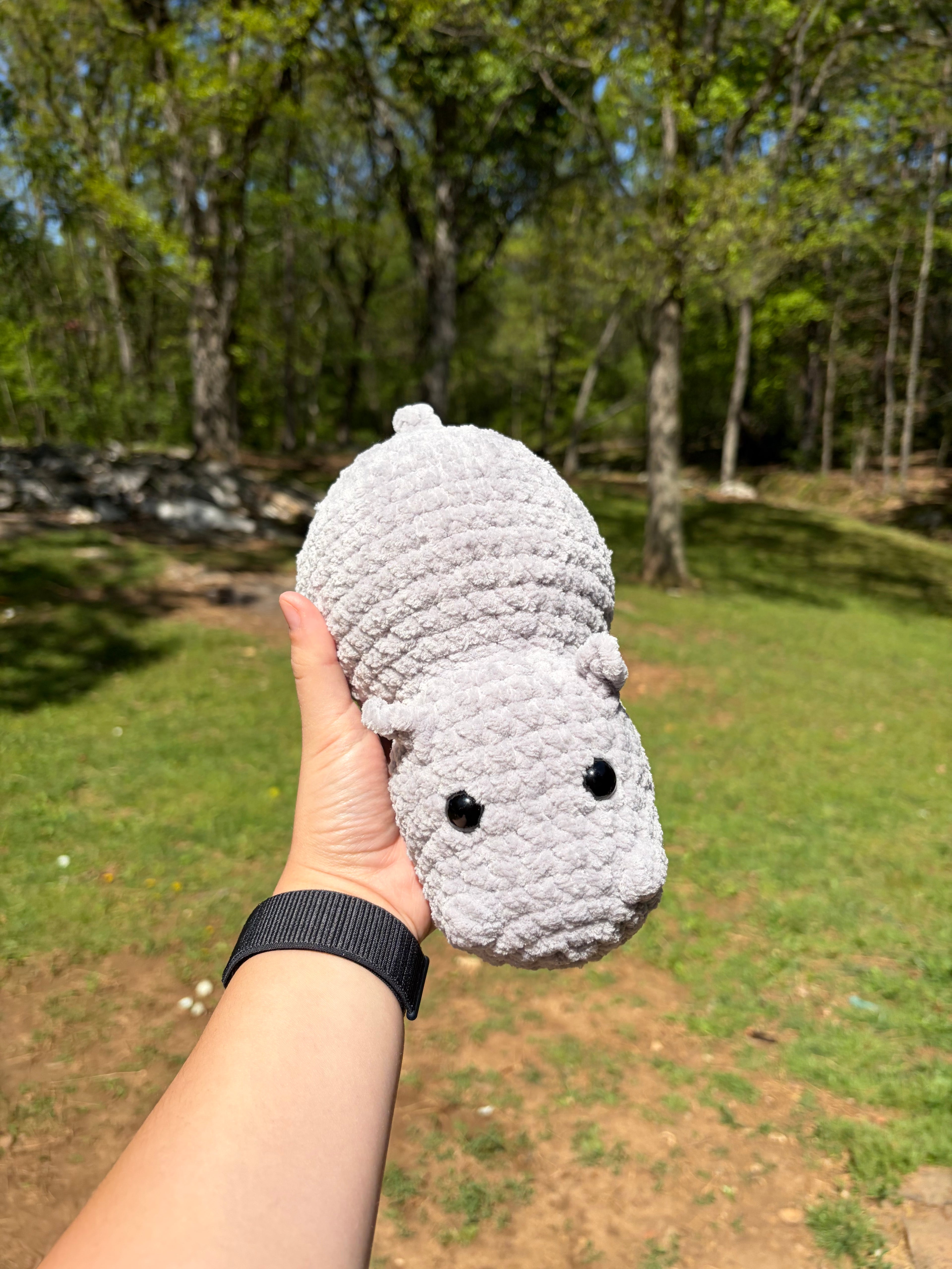 Hippo