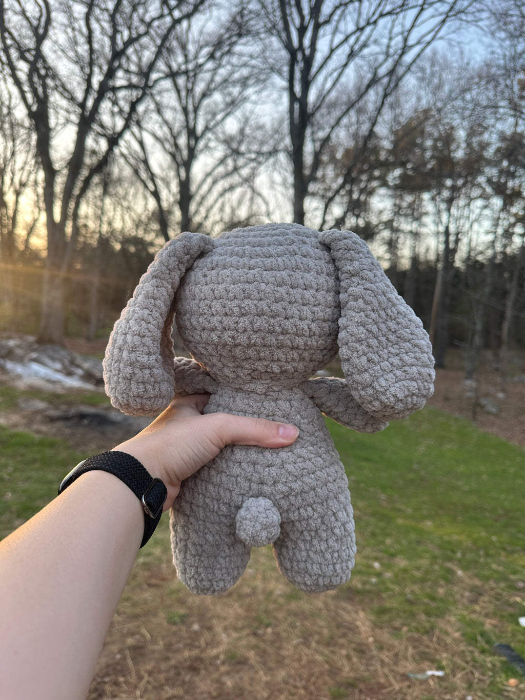 Big bunny