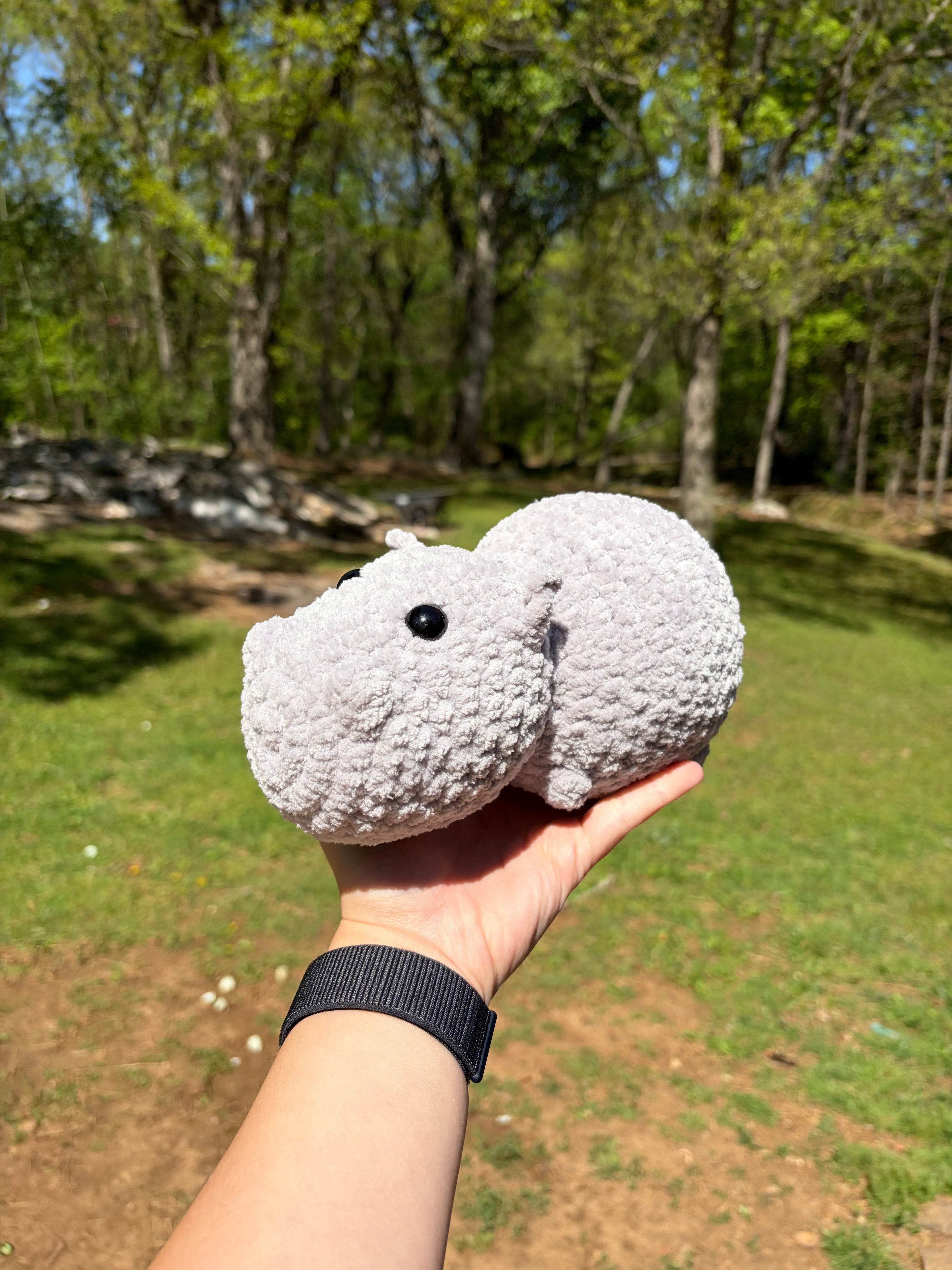 Hippo