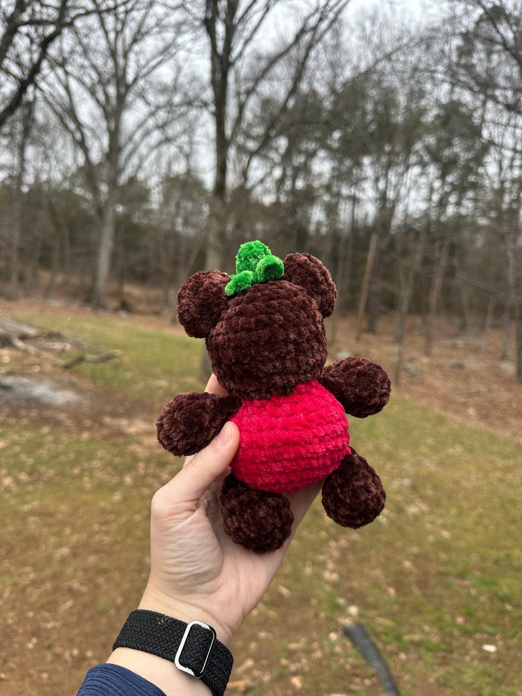 Red strawberry bear