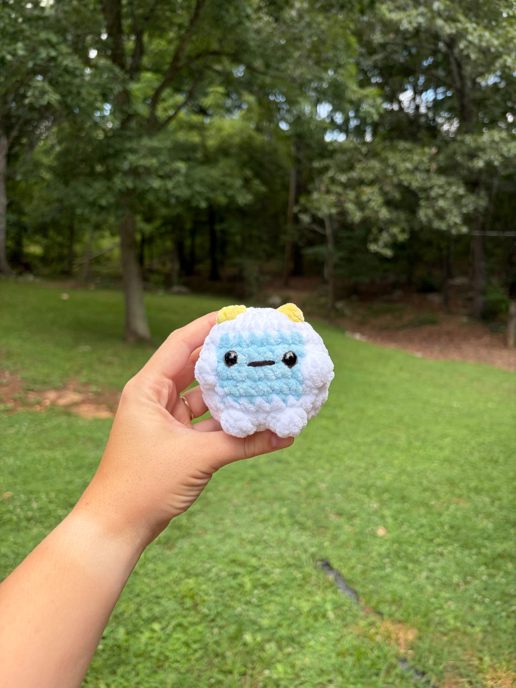 Lil yeti
