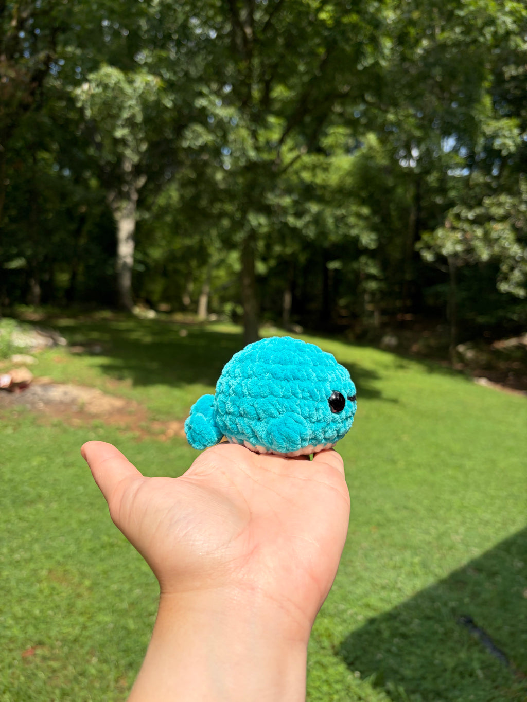 Lil whale