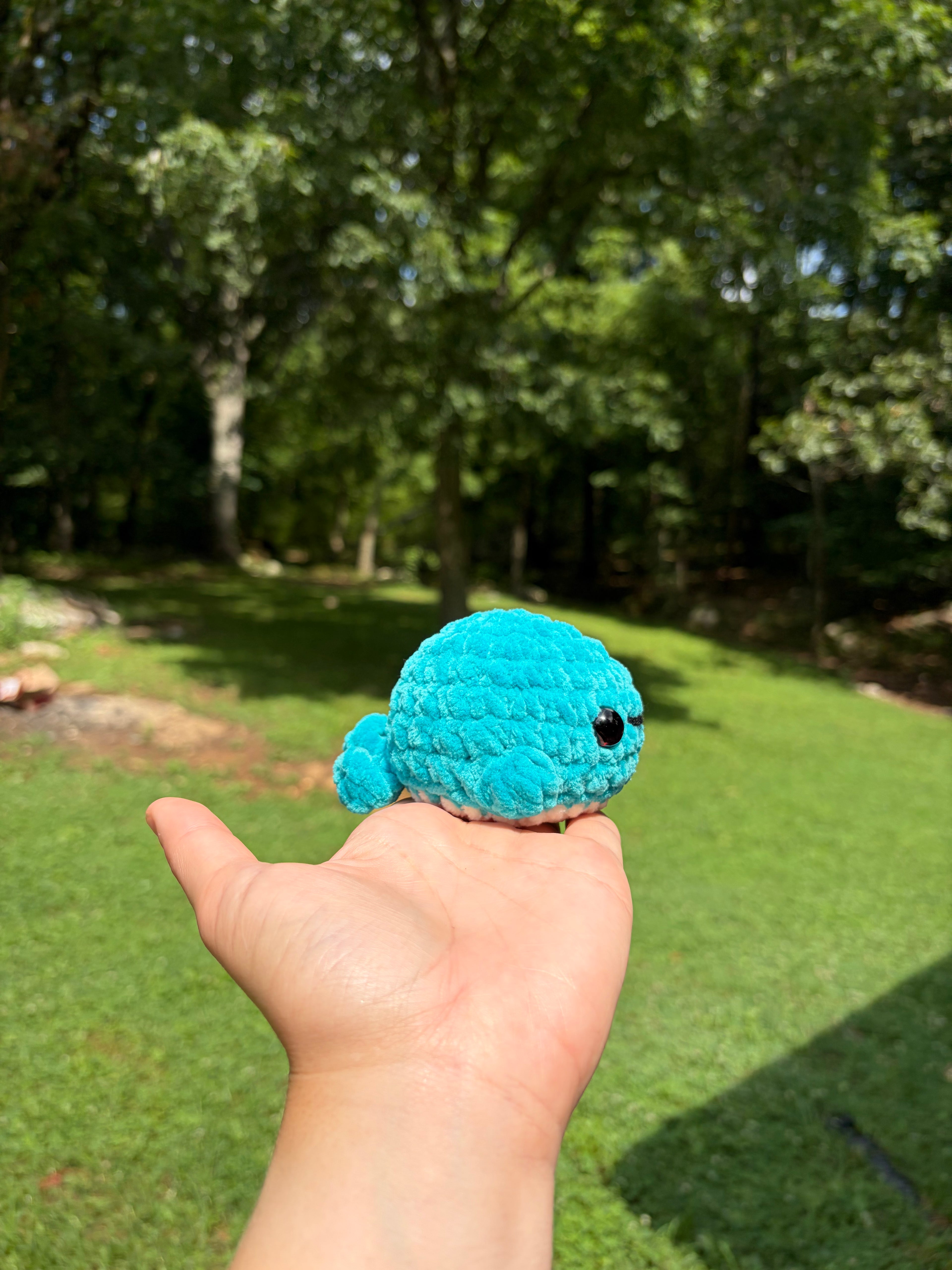 Lil whale